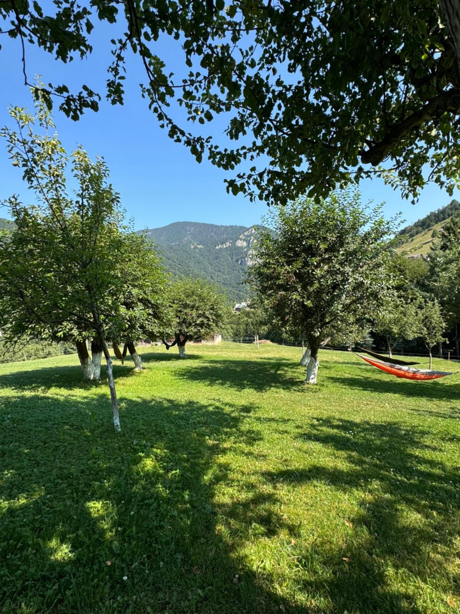 Pensiunea Casa Dobre Măgura 外观 照片