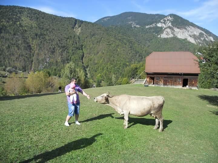 Pensiunea Casa Dobre Măgura 外观 照片